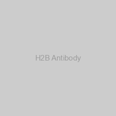 Image of H2B Antibody